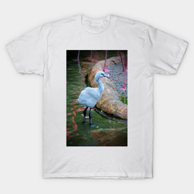 American Flamingo Chick T-Shirt by Cynthia48